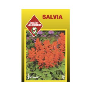 Semillas de Salvia splendens Rojo Brillante