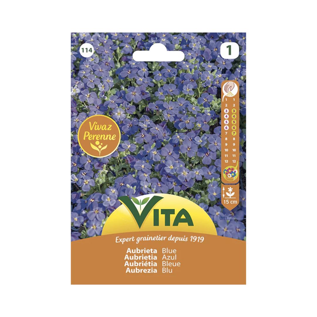 Semillas de Aubrietia Azul