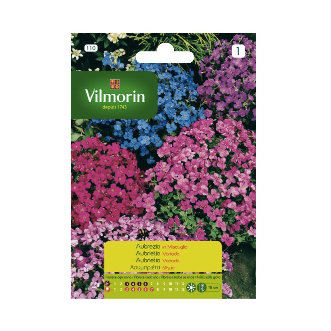 Semillas de Aubrieta colores variados