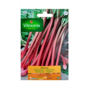 Semillas de Ruibarbo 'Victoria'