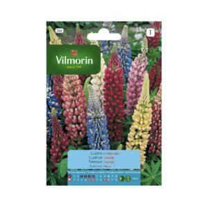 Semillas de Lupino colores