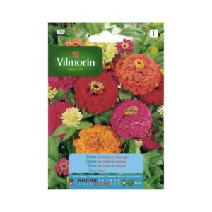 Semillas de Zinnia de California Colores