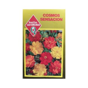 Semillas de Cosmos Anaranjados