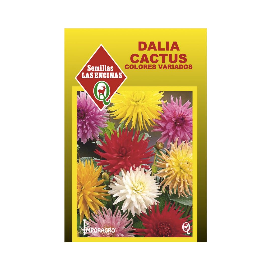 Semillas de Dalia Cactus