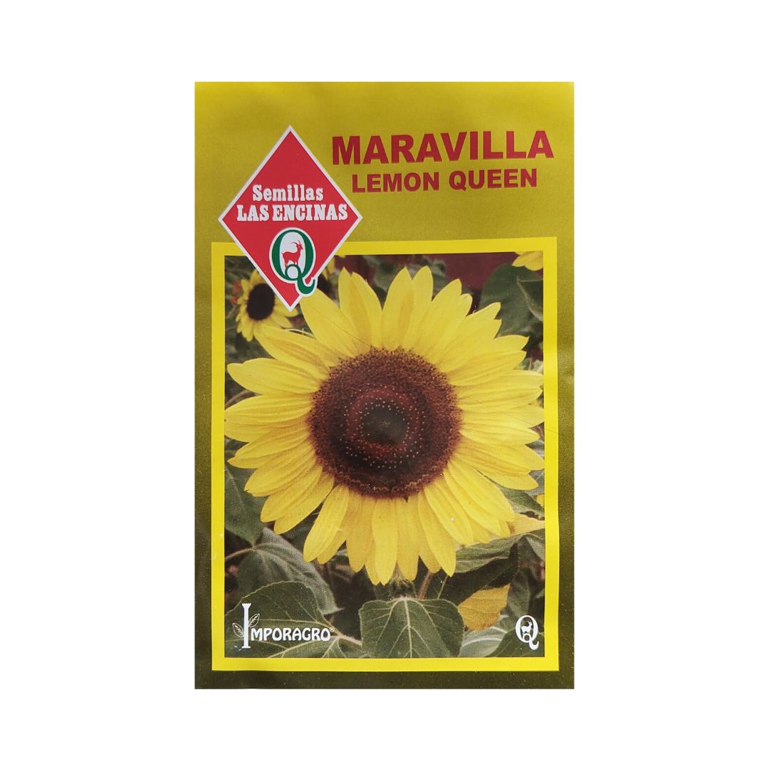 Semillas de Maravilla Lemon Queen