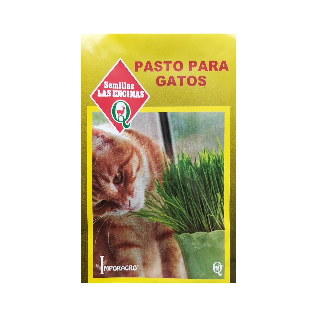 Semillas de Pasto para gatos