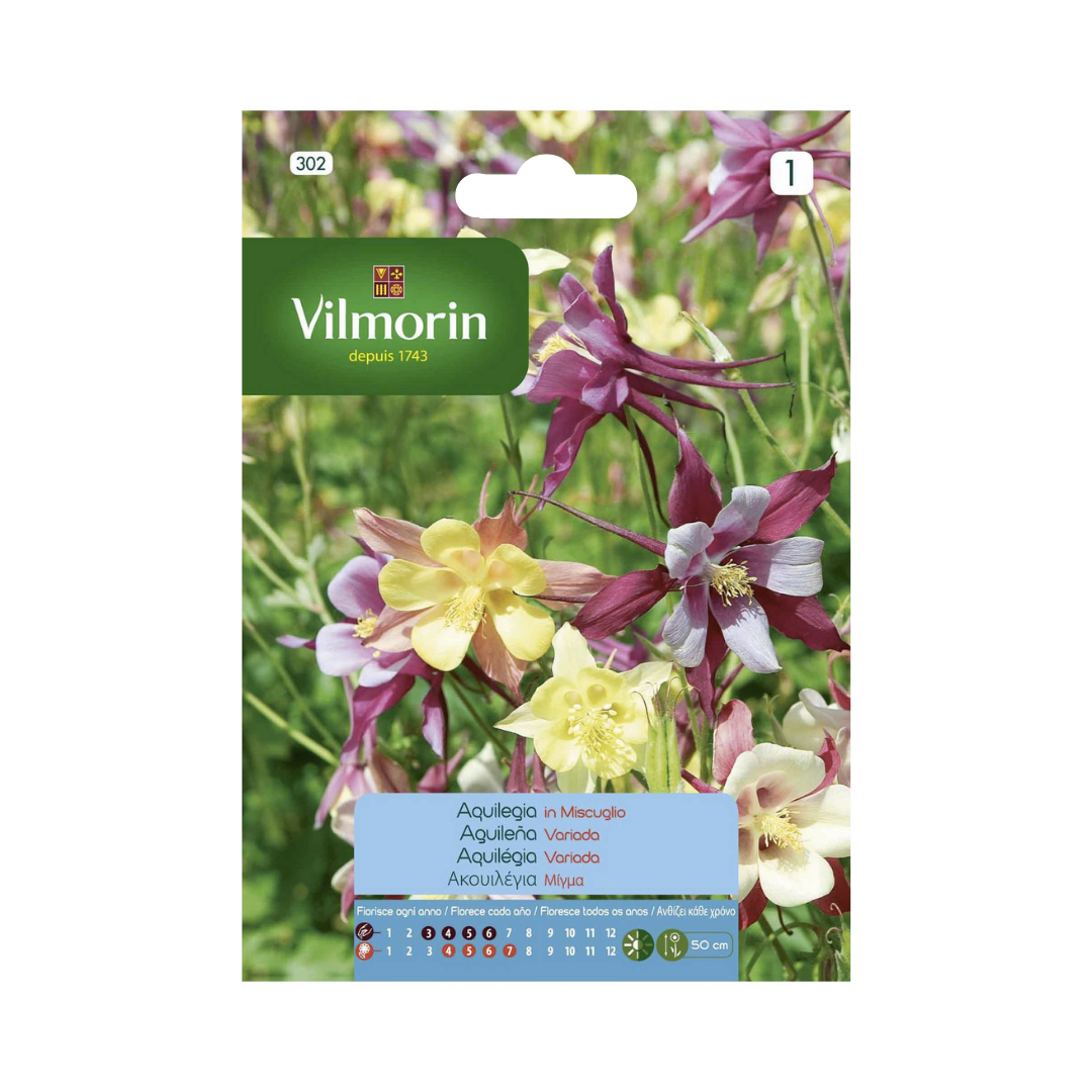 Semillas de Aquilegia Variada