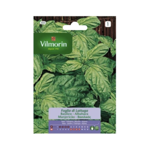 Semillas de Albahaca Hoja de Lechuga