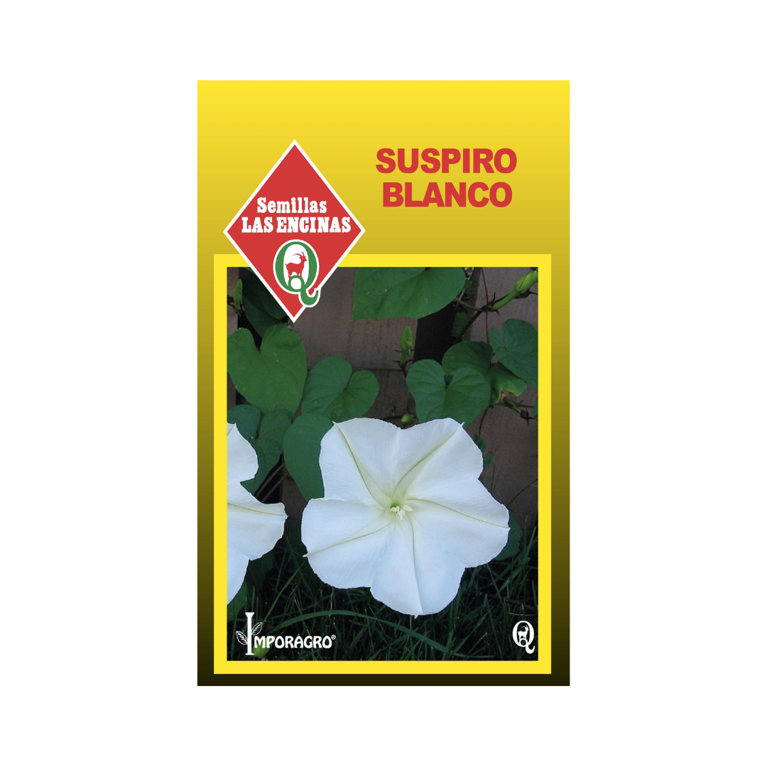 Semillas de Suspiro Blanco