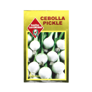 Semillas de Cebolla para Pickles
