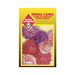 Semillas de Reina Luisa Pluma de Avestruz