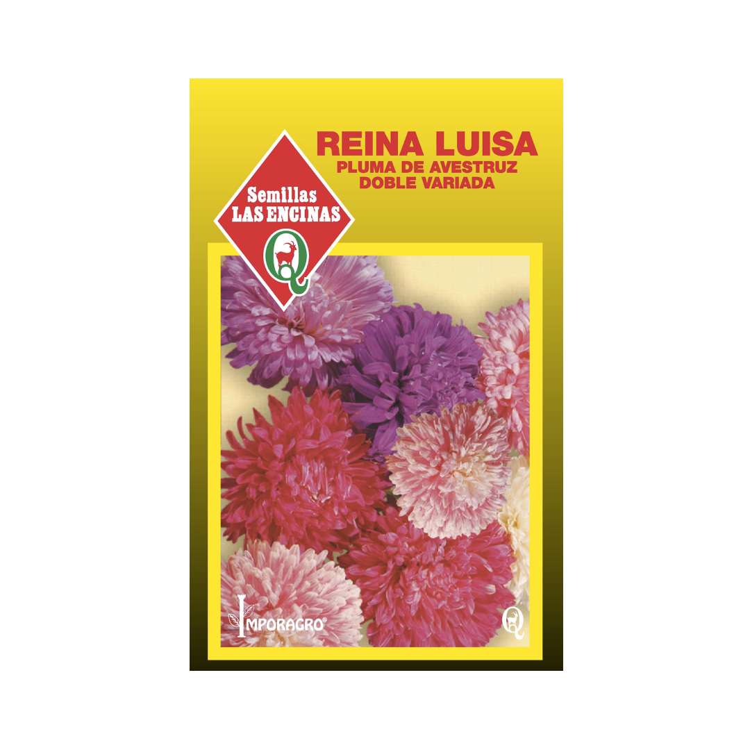 Semillas de Reina Luisa Pluma de Avestruz