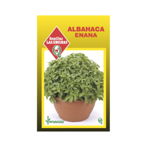 Semillas de Albahaca Enana