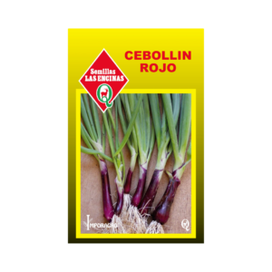 Semillas de Cebollín Rojo