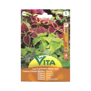 Semillas de Coleus Variado