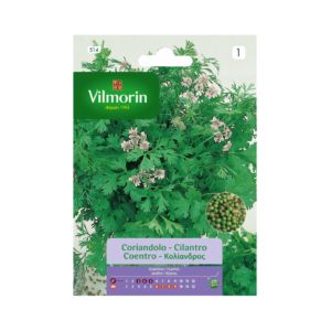 Semillas de Cilantro Vilmorin