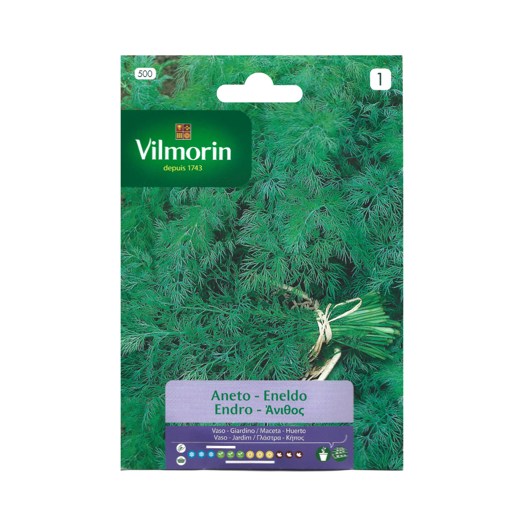 Semillas de Eneldo Vilmorin