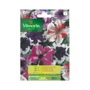 Semillas de Petunia Superbissima