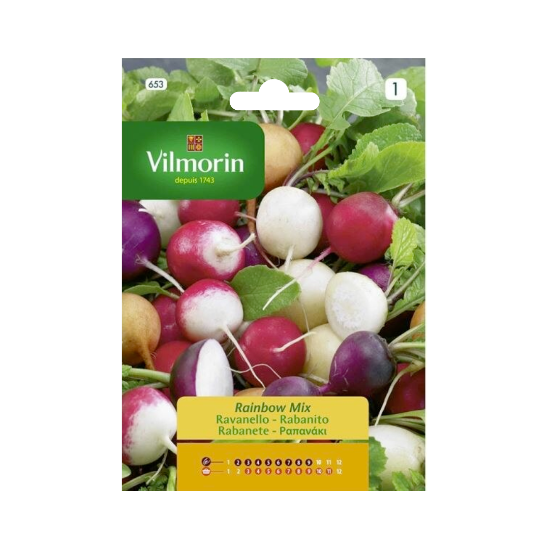 Semillas de Rabanito Rainbow Mix