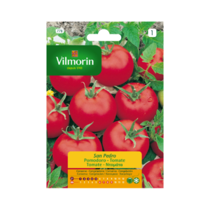 Semillas de Tomate San Pedro