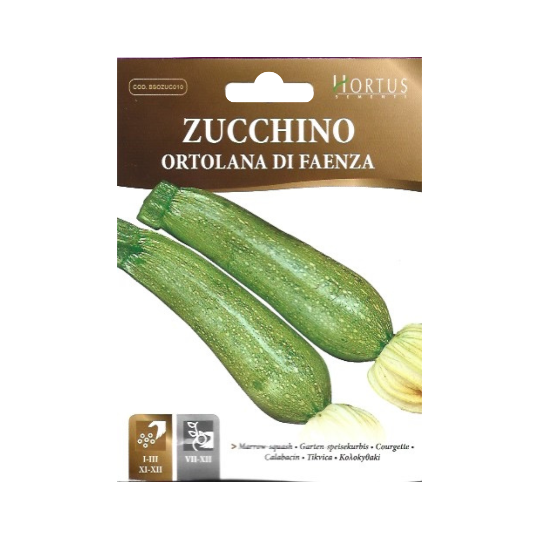 Semillas de Zapallo Italiano Ortolana di Faenza