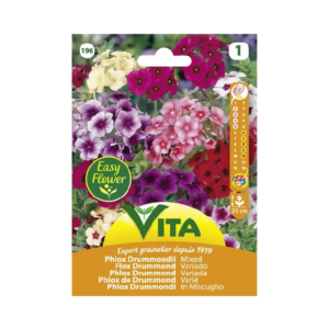 Semillas de Phlox variado