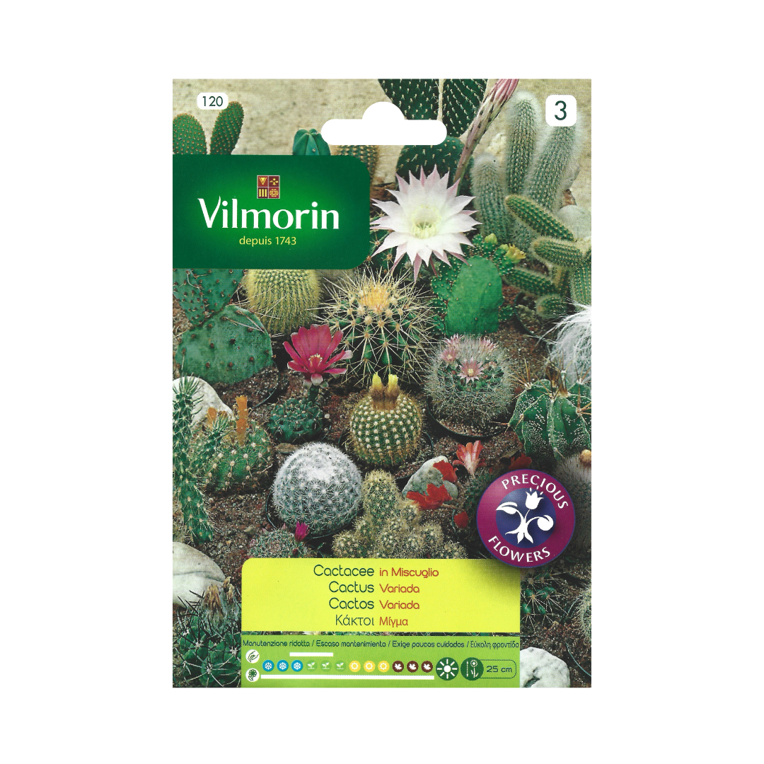 Semillas de Cactus Variados