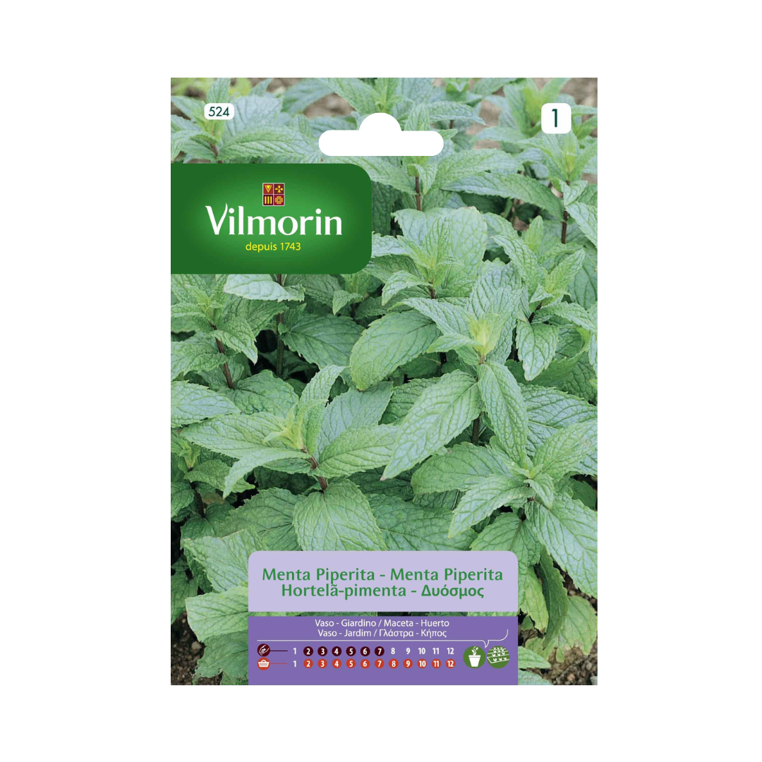 Semillas de Menta Piperita