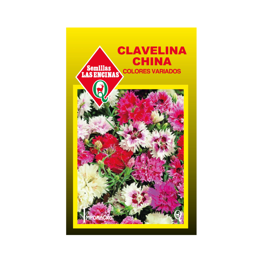 Semillas de Clavelina China