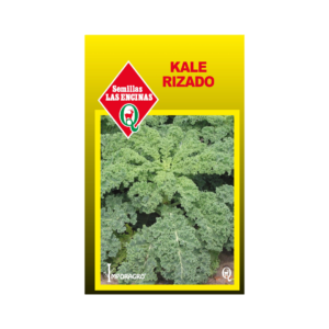 Semillas de Kale Rizado