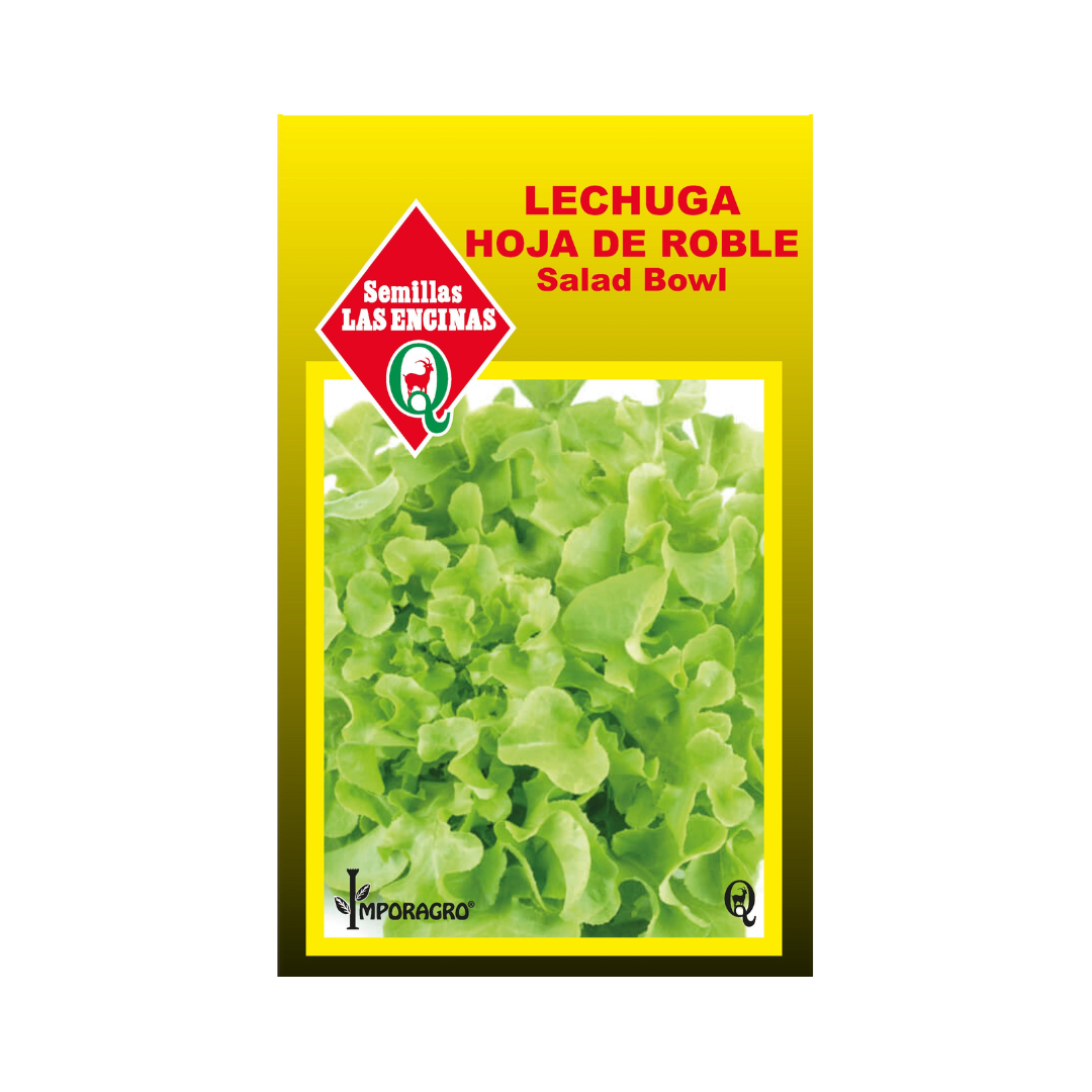 Semillas de Lechuga Hoja de Roble