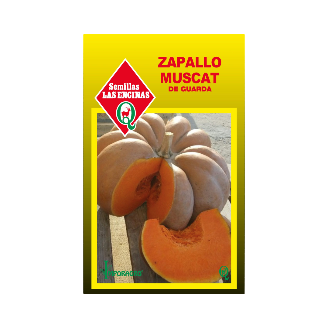 Semillas de Zapallo Muscat
