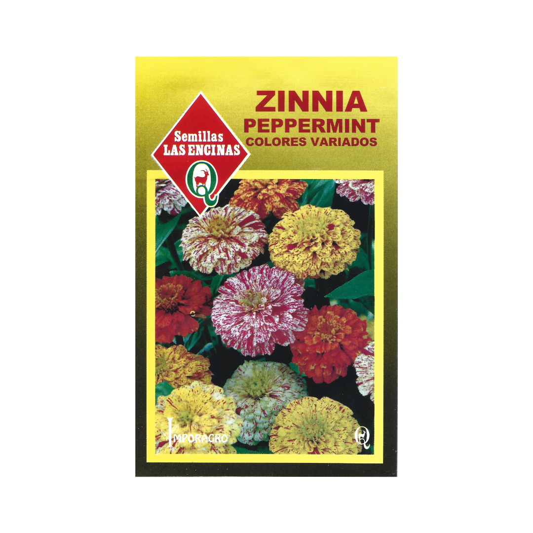 Semillas de Zinnia Peppermint