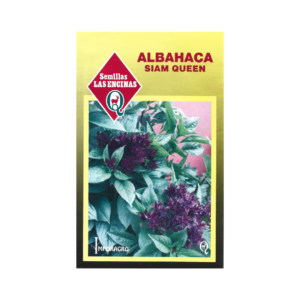 Semillas de Albahaca Siam Queen