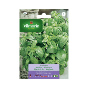 Semillas de Albahaca Italiana