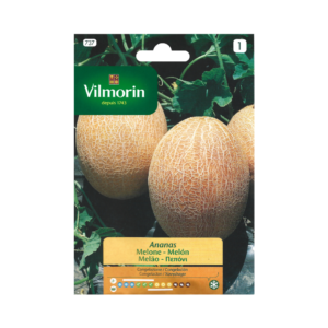 Semillas de Melón Ananas
