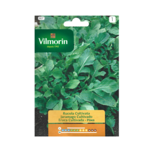 Semillas de Rúcula Cultivada