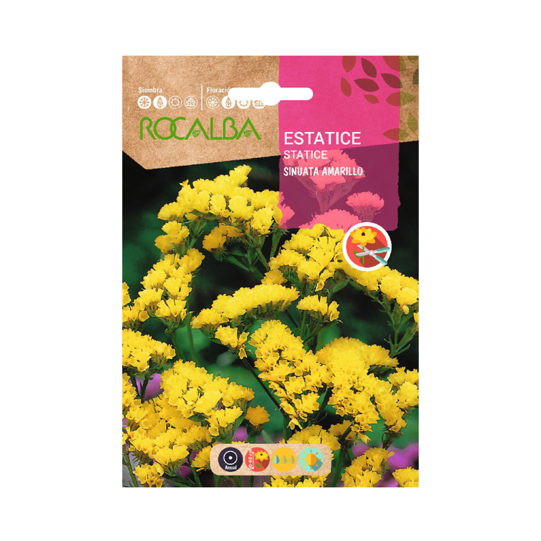 Semillas de Estátice Amarillo