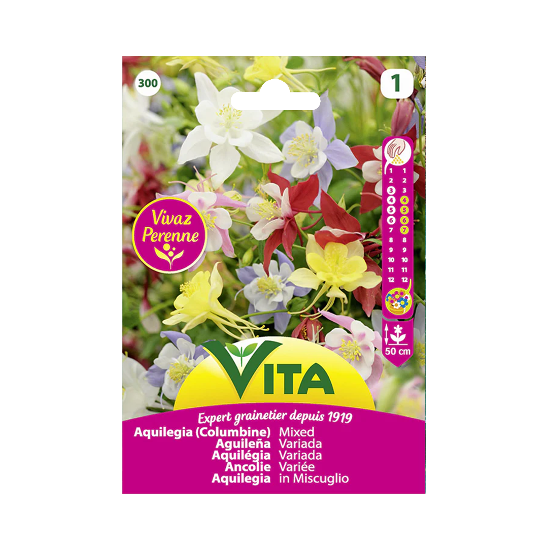 Semillas de Aquilegia Variada Vita