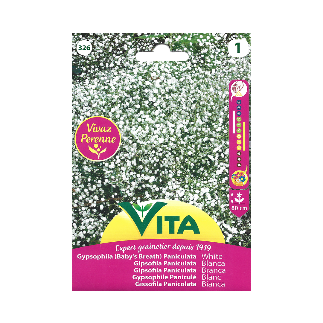 Semillas de Gipsófila paniculata blanca Vita