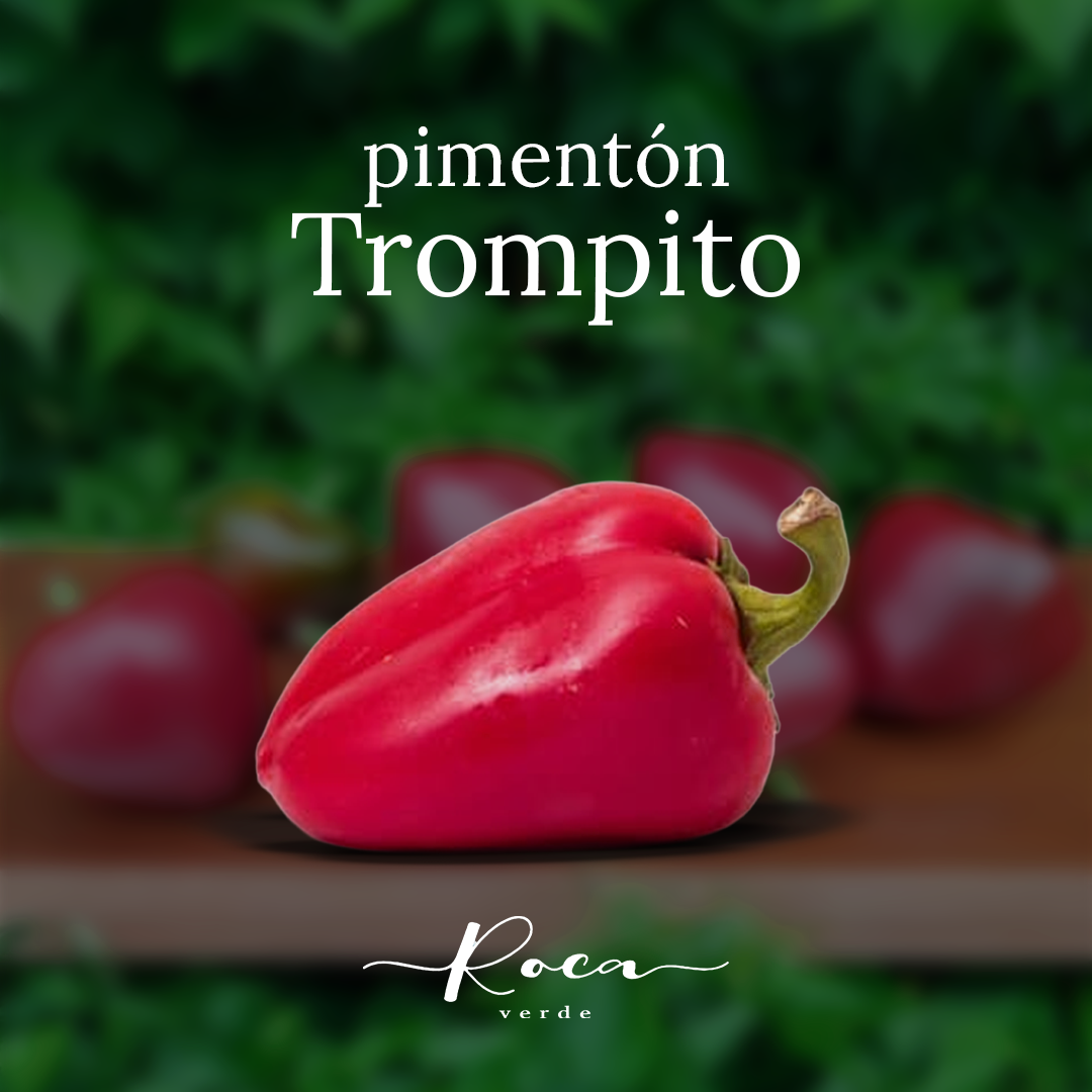 Semillas de Pimentón Trompito