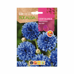 Semillas de Centaurea Blue Boy