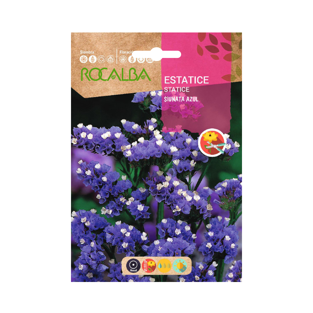 Semillas de Estatice sinuata azul