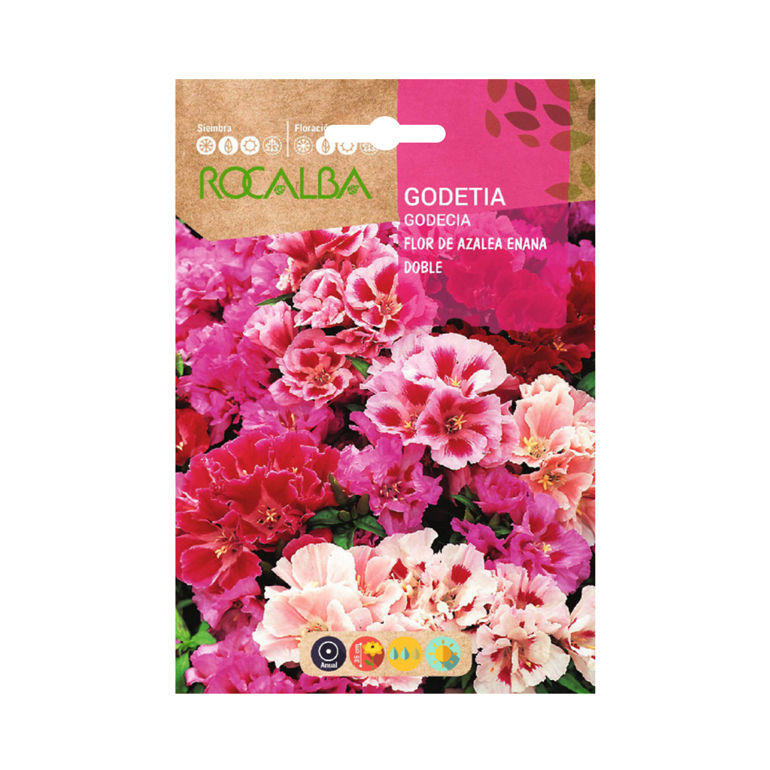 Semillas de Godetia Enana Doble