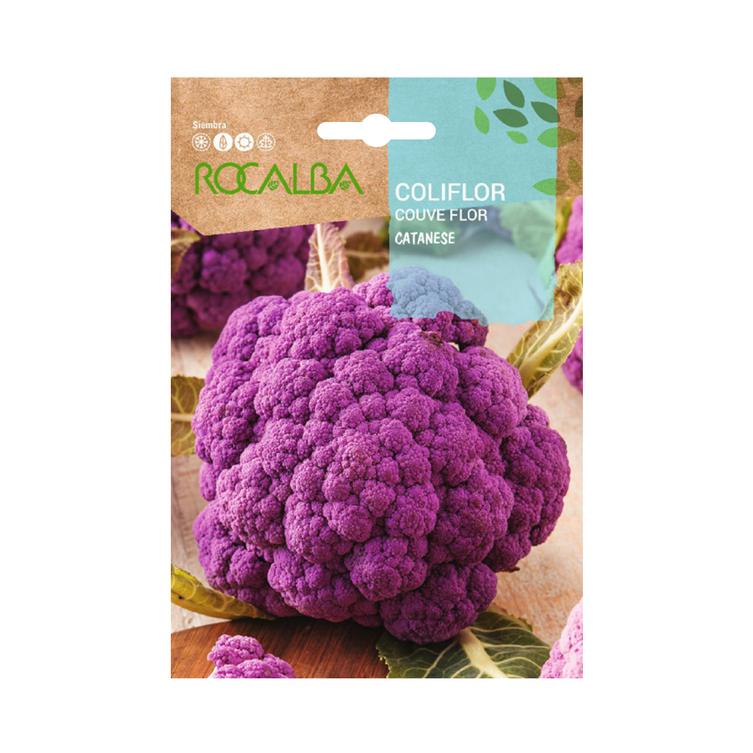 Semillas de Coliflor Catanese Morado