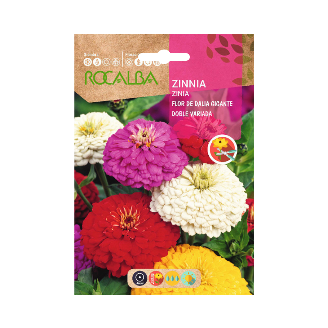 Semillas de Zinnia Flor de Dalia Gigante Doble