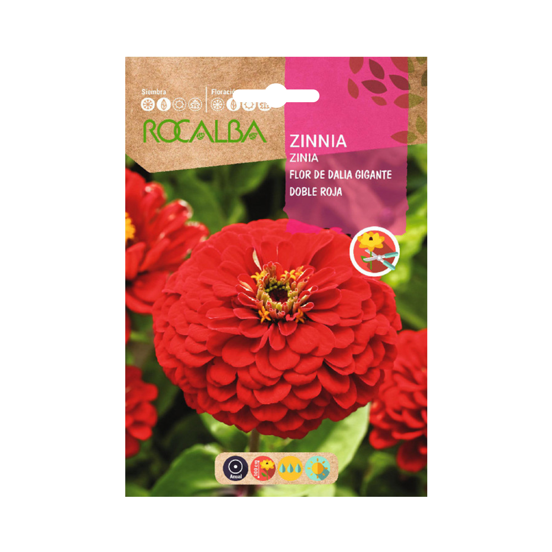 Semillas de Zinnia Flor de Dalia Gigante Doble Roja - Imagen 2
