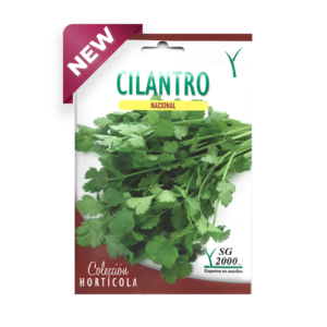 Semillas de Cilantro 'Santo' Nacional