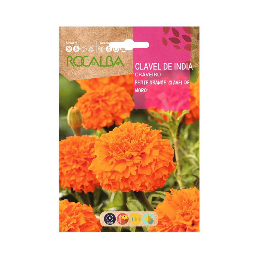 Semillas de Clavel de India Petite Orange - Imagen 2