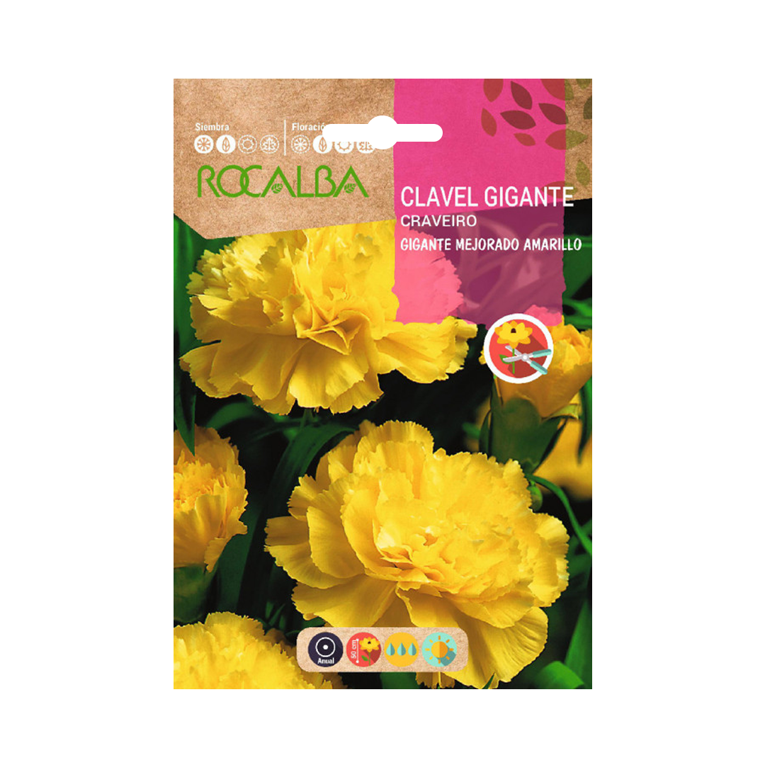 Semillas de Clavel Gigante Mejorado Amarillo - Imagen 2